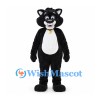 Cat Mascot Costume in Black with White Belly and Gold Collar Tag