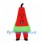 Watermelon Mascot Costume with Red Triangular Body and Green Rind