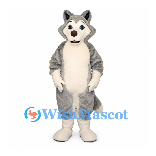 Husky Dog Mascot Costume in Gray and White with Blue Eyes