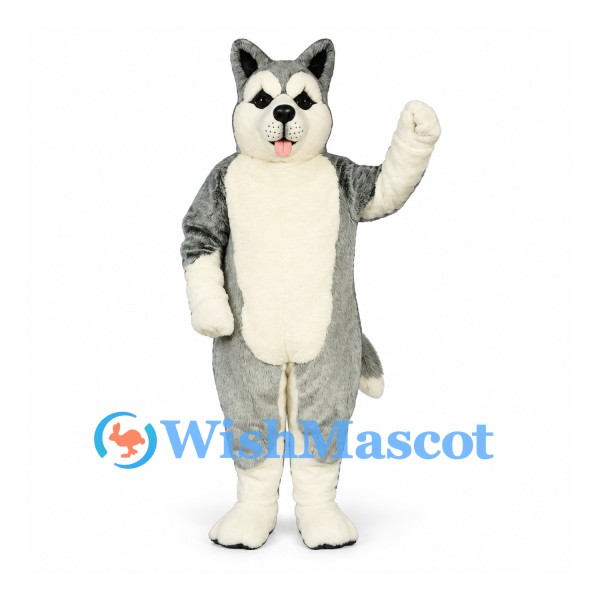 Husky Dog Mascot Costume in Gray with White Chest and Curled Tail