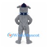Bulldog Mascot Costume in Gray with Blue Spiked Collar and Cap