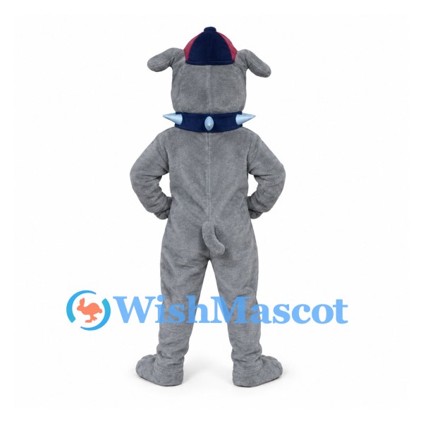 Bulldog Mascot Costume in Gray with Blue Spiked Collar and Cap