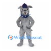 Bulldog Mascot Costume in Gray with Blue Spiked Collar and Cap
