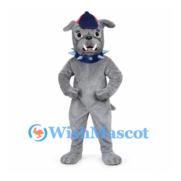 Bulldog Mascot Costume in Gray with Blue Spiked Collar and Cap