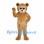 Bear Mascot Costume in Tan with White Muzzle and Dark Eyes
