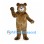 Bear Mascot Costume in Brown with Cream Face and Round Ears