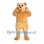 Bear Mascot Costume in Tan with Small Face and Rounded Ears