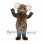 Koala Mascot Costume in Gray Brown with Large Cream Ears