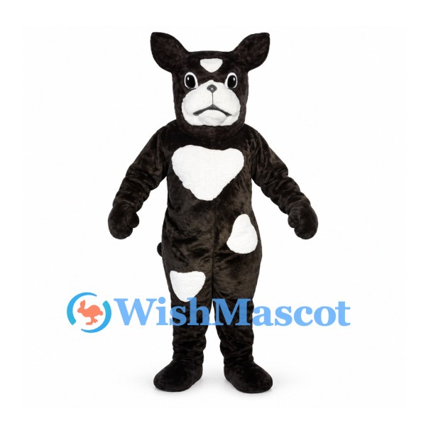 Bulldog Mascot Costume in Black with White Patches and Heart Chest