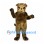 Bulldog Mascot Costume in Brown with Wrinkled Face