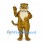 Tiger Mascot Costume in Gold with White Chest and Paw Pads
