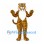 Tiger Mascot Costume with Gold Stripes and White Chest Fur