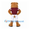 Bulldog Mascot Costume in Tan with Burgundy Football Jersey