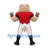 Bulldog Mascot Costume in Tan with Red Baseball Jersey and White Trousers