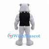 Bulldog Mascot Costume in Gray with Muscular Arms and Black Shirt