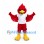 Cardinal Mascot Costume in Red with White Shirt and Red Shorts