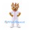 Dog Mascot Costume in Tan with White Baseball Uniform and Red Trim