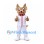 Dog Mascot Costume in Tan with White Baseball Uniform and Red Collar