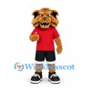 Bulldog Mascot Costume in Tan with Red Shirt and Black Shorts