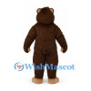 Bear Mascot Costume in Dark Brown with Tan Muzzle and Feet