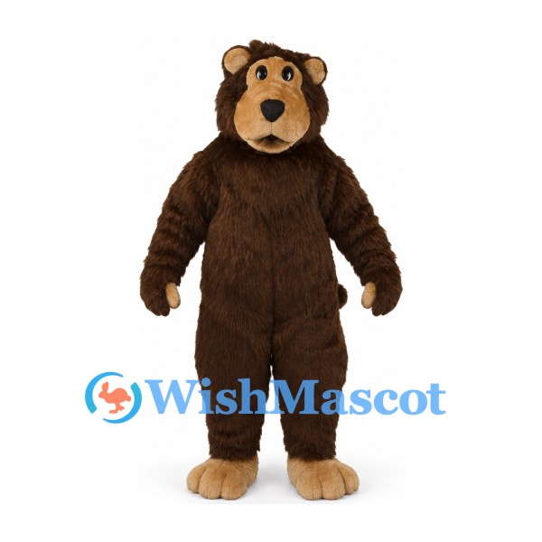 Bear Mascot Costume in Dark Brown with Tan Muzzle and Feet