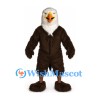 Eagle Mascot Costume in Dark Brown with White Head and Orange Beak