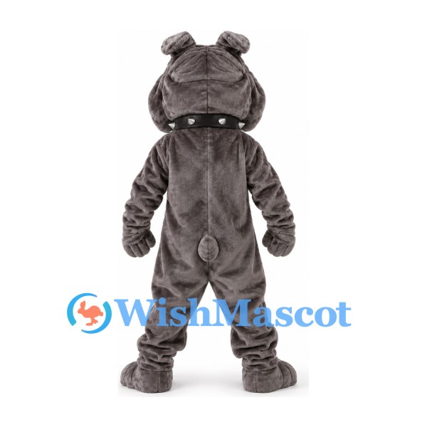 Bulldog Mascot Costume in Dark Gray with Black Studded Collar