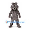 Bulldog Mascot Costume in Dark Gray with Black Studded Collar