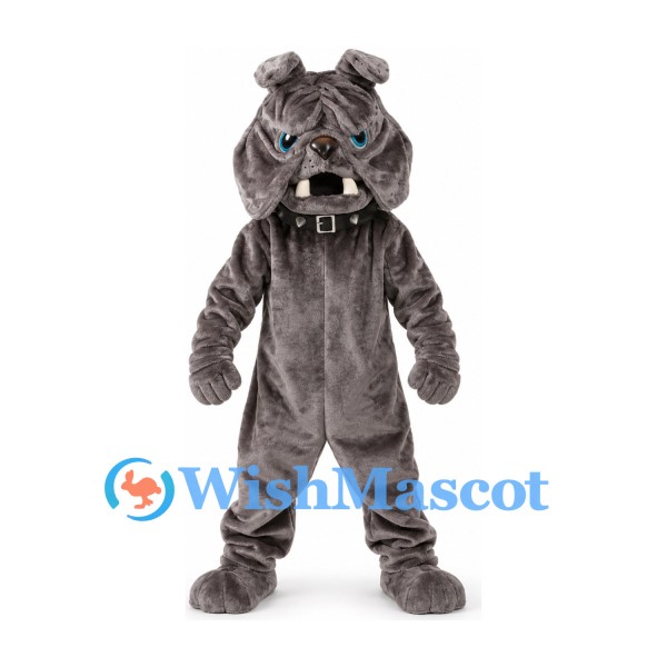 Bulldog Mascot Costume in Dark Gray with Black Studded Collar