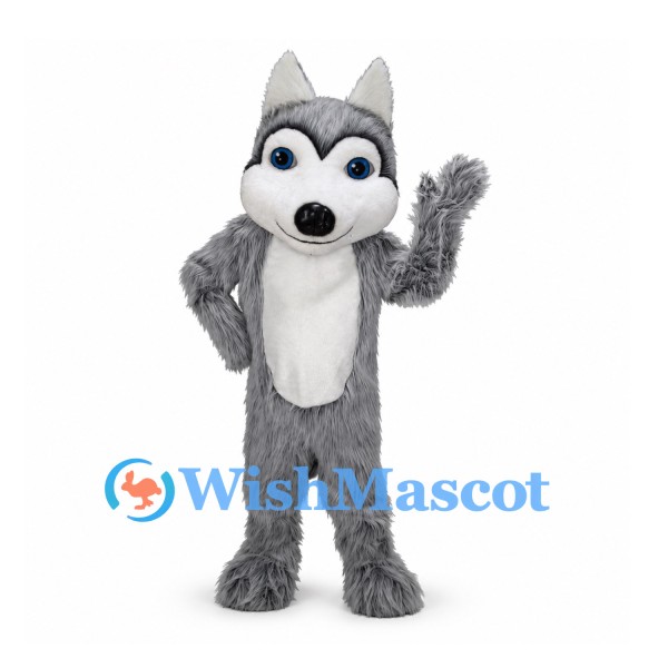Wolf Mascot Costume in Gray with White Chest and Large Blue Eyes