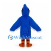 Blue Jay Mascot Costume in Blue with White Face and Orange Feet