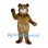 Bear Mascot Costume in Brown with Round Face and Waving Paws