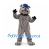 Bulldog Mascot Costume in Gray with Blue Cap and Studded Collar