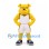 Bulldog Mascot Costume in Yellow with White Basketball Uniform