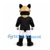 Boston Terrier Mascot Costume with Gold Football Helmet and Black Shirt