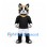 Boston Terrier Mascot Costume with Gold Football Helmet and Black Shirt
