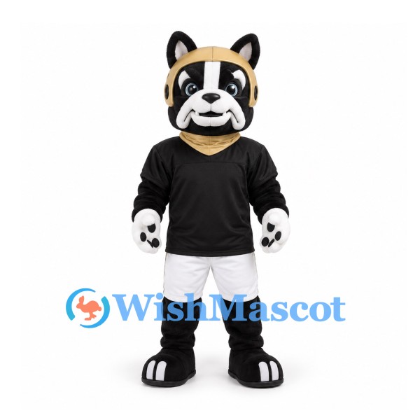 Boston Terrier Mascot Costume with Gold Football Helmet and Black Shirt