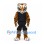 Tiger Mascot Costume with Black Basketball Uniform and White Paws