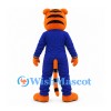 Tiger Mascot Costume with Blue Embroidered Outfit