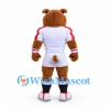 Bear Mascot Costume in Brown with Muscular White Sports Outfit