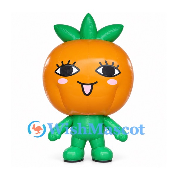 Pumpkin Mascot Costume in Orange with Green Leaf Crown and Body
