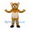 Bear Mascot Costume in Gold with Cream Heart Belly and Black Feet