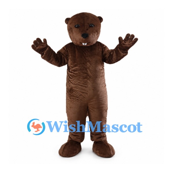 Dark Brown Bear Mascot Costume with Small Ears and Open Paws