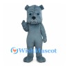 Gray Bulldog Mascot Costume with Blue Eyes and White Teeth