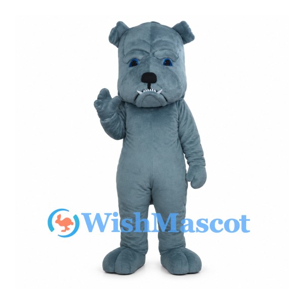 Gray Bulldog Mascot Costume with Blue Eyes and White Teeth