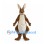 Brown Kangaroo Mascot Costume with Cream Pouch and Long Tail