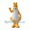 Golden Kangaroo Mascot Costume with White Chest and Long Tail