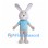 Rabbit Mascot Costume in Gray with Light Blue Shirt