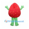 Strawberry Girl Mascot Costume with Red Fruit Body and Green Limbs