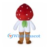 Strawberry Boy Mascot Costume with White Shirt and Brown Pants